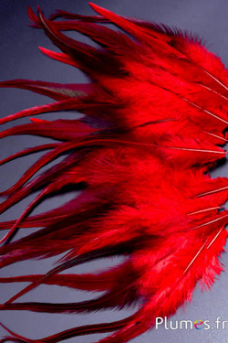 Coq - 15-18 cm - rouge café